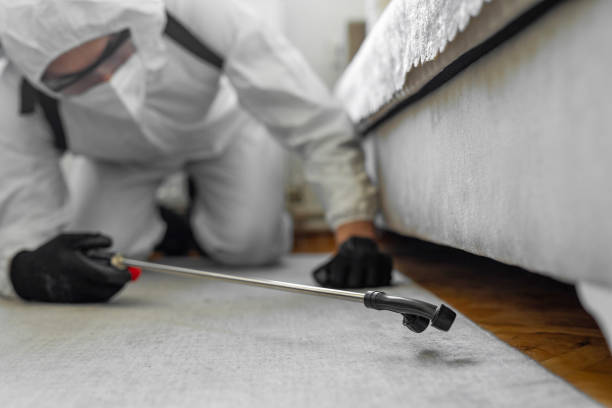 Professional Bed Bug Control technician working in Lower Grand Lagoon, FL