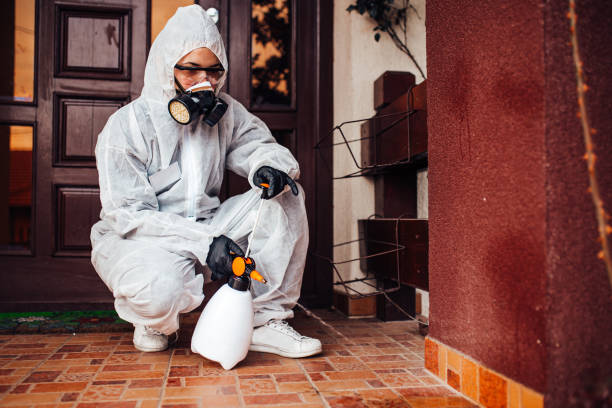 Reliable Bed Bug Control contractor in Lower Grand Lagoon, FL by Nex Pest Control