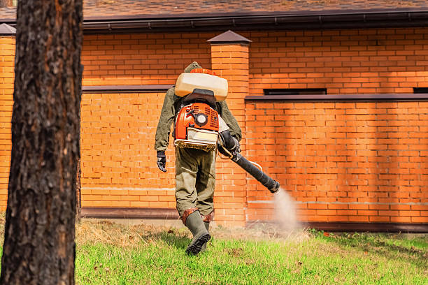 Trusted Termite Control service in Lower Grand Lagoon, FL - Nex Pest Control